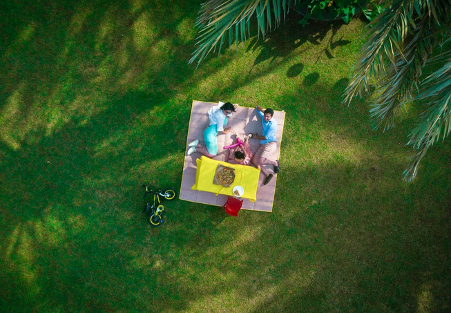 picnic